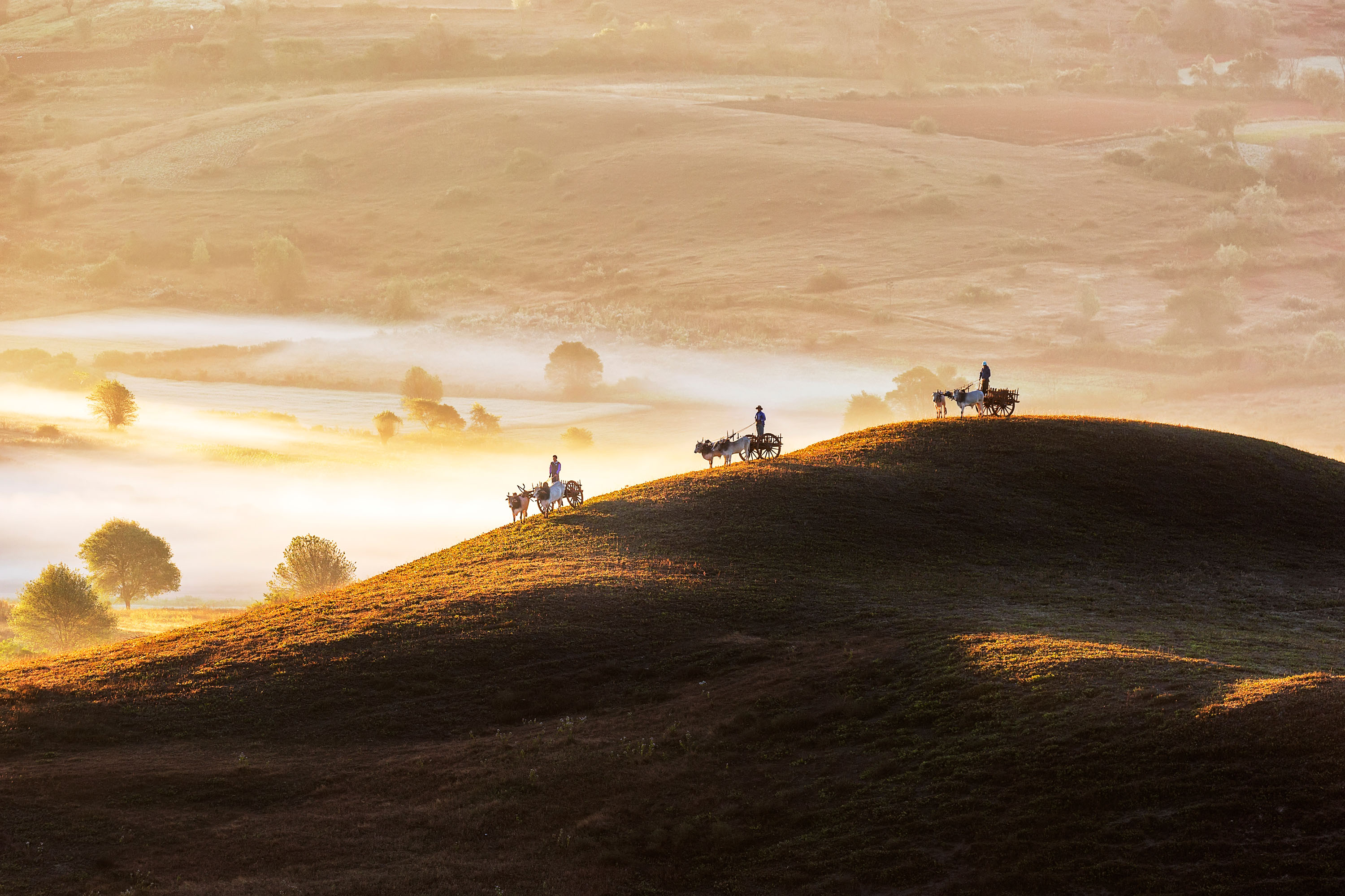 2690 1462646 0 kihwan Na National Awards 2nd Place Korea Republic Of 2019 Sony World Photography Awards