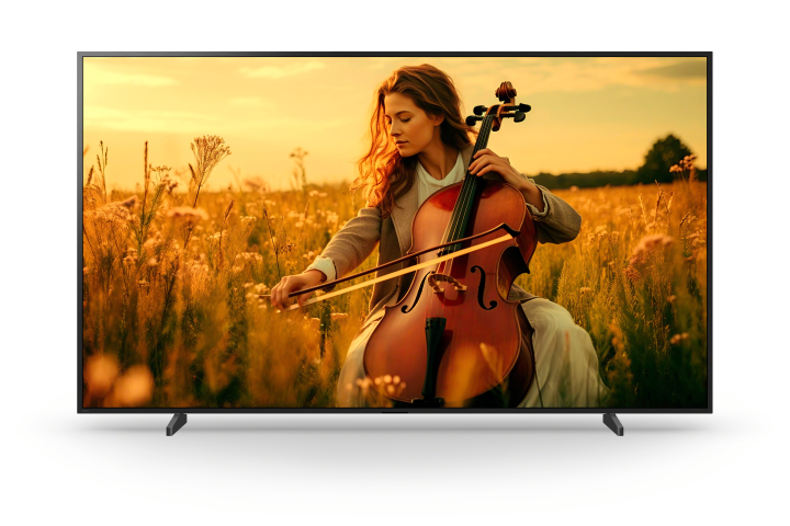 BRAVIA 5 pcactive.nl