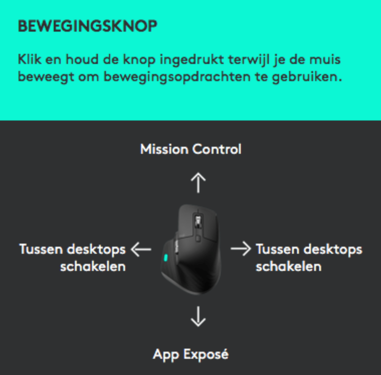 Bewegingsknop 2