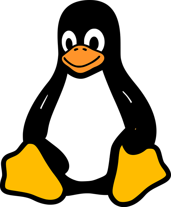 linux 2025130 960 720