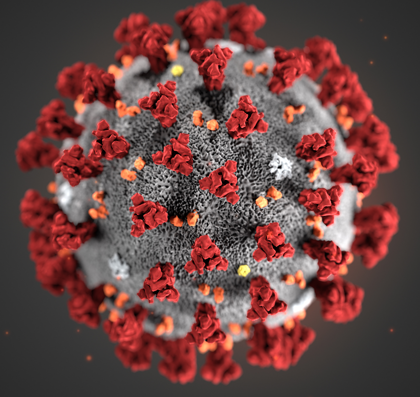 coronavirus 2