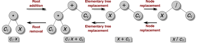 transformaties