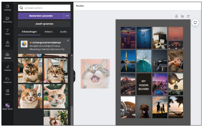 Canva collage 4 2
