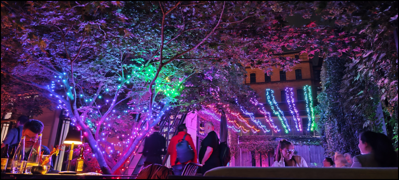 Philips Hue Festavia outdoor 40 meter 2