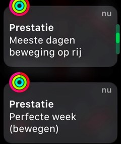 06 prestatie
