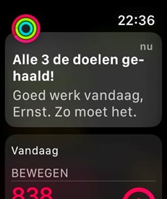 10 doelen