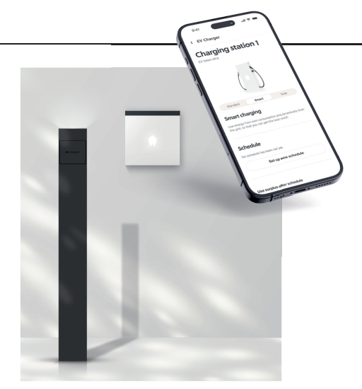 Background: Your electric car as a home battery?