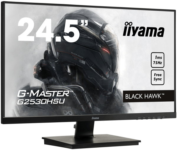 iiyama G2530HSU20 2