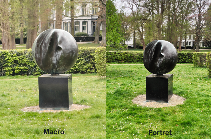 Vergelijking macro en portret