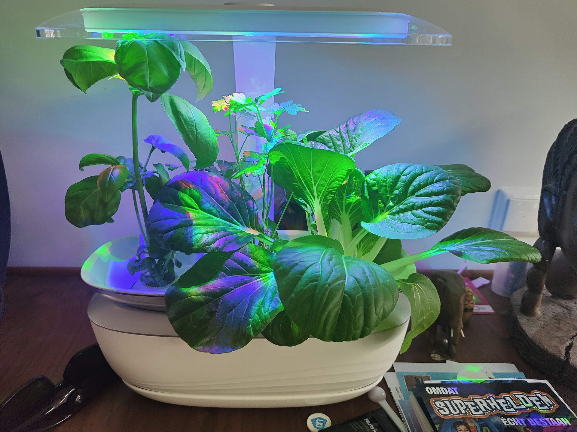 Bosch SmartGrow Life 3