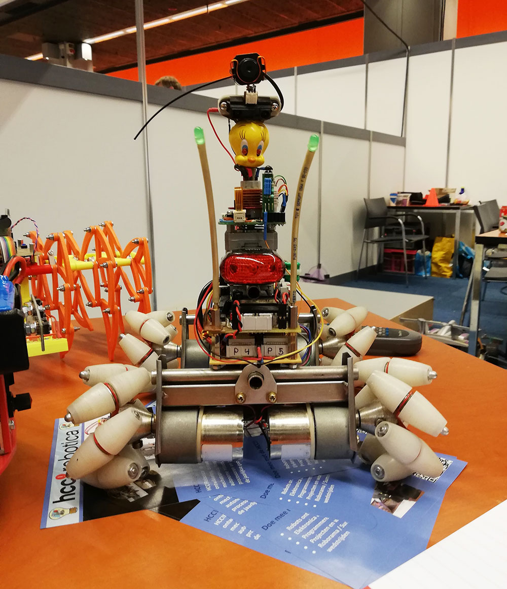 expo robotica3